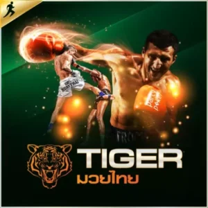tiger boxing e